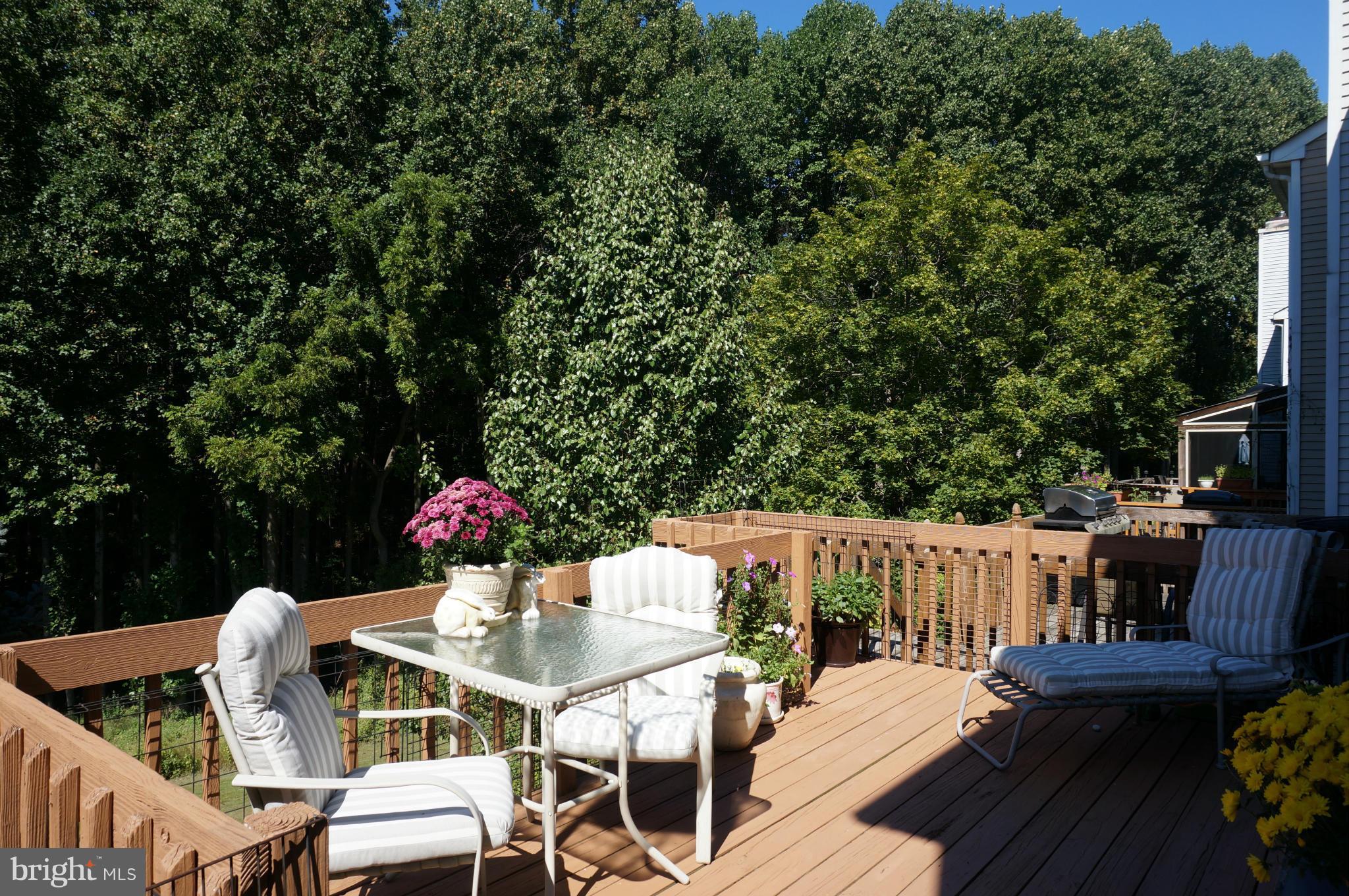 CLARY'S FOREST - Residential