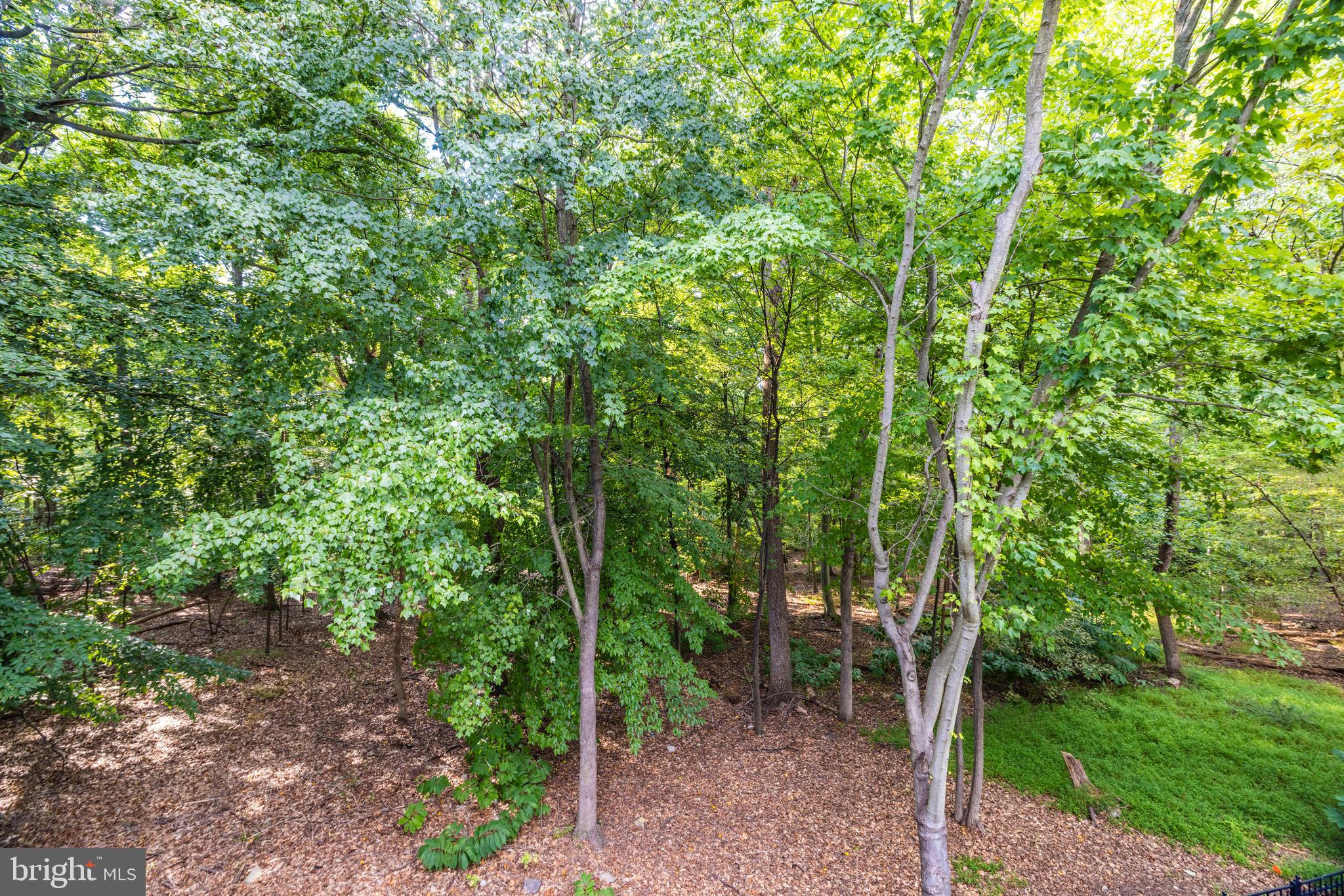 LANSDOWNE ON THE POTOMAC - Residential