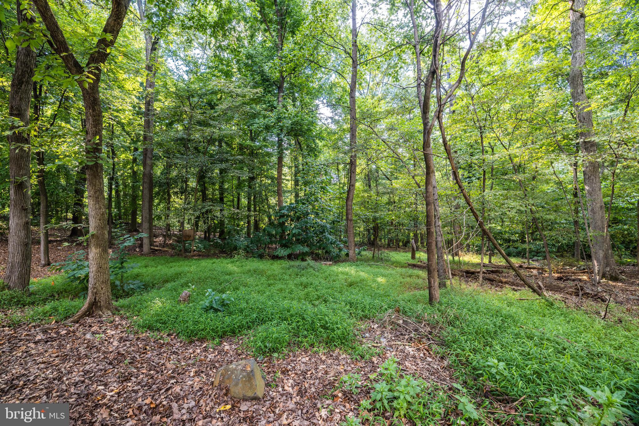 LANSDOWNE ON THE POTOMAC - Residential