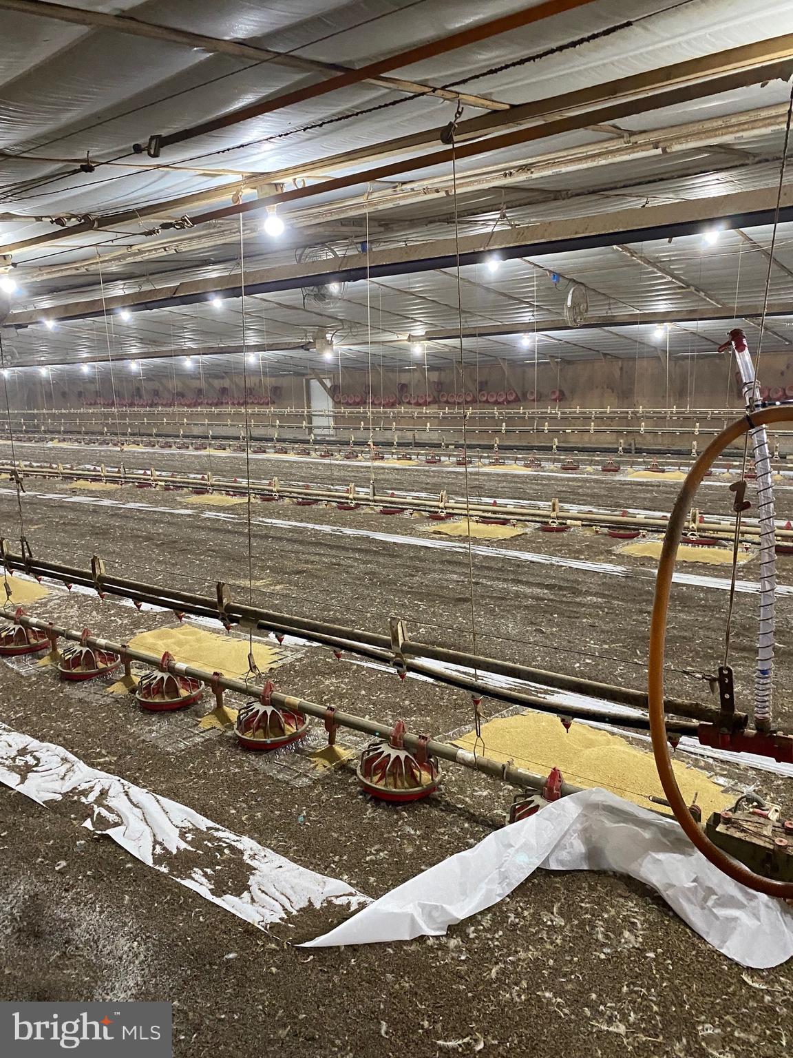 NONE AVAILABLE - Farm