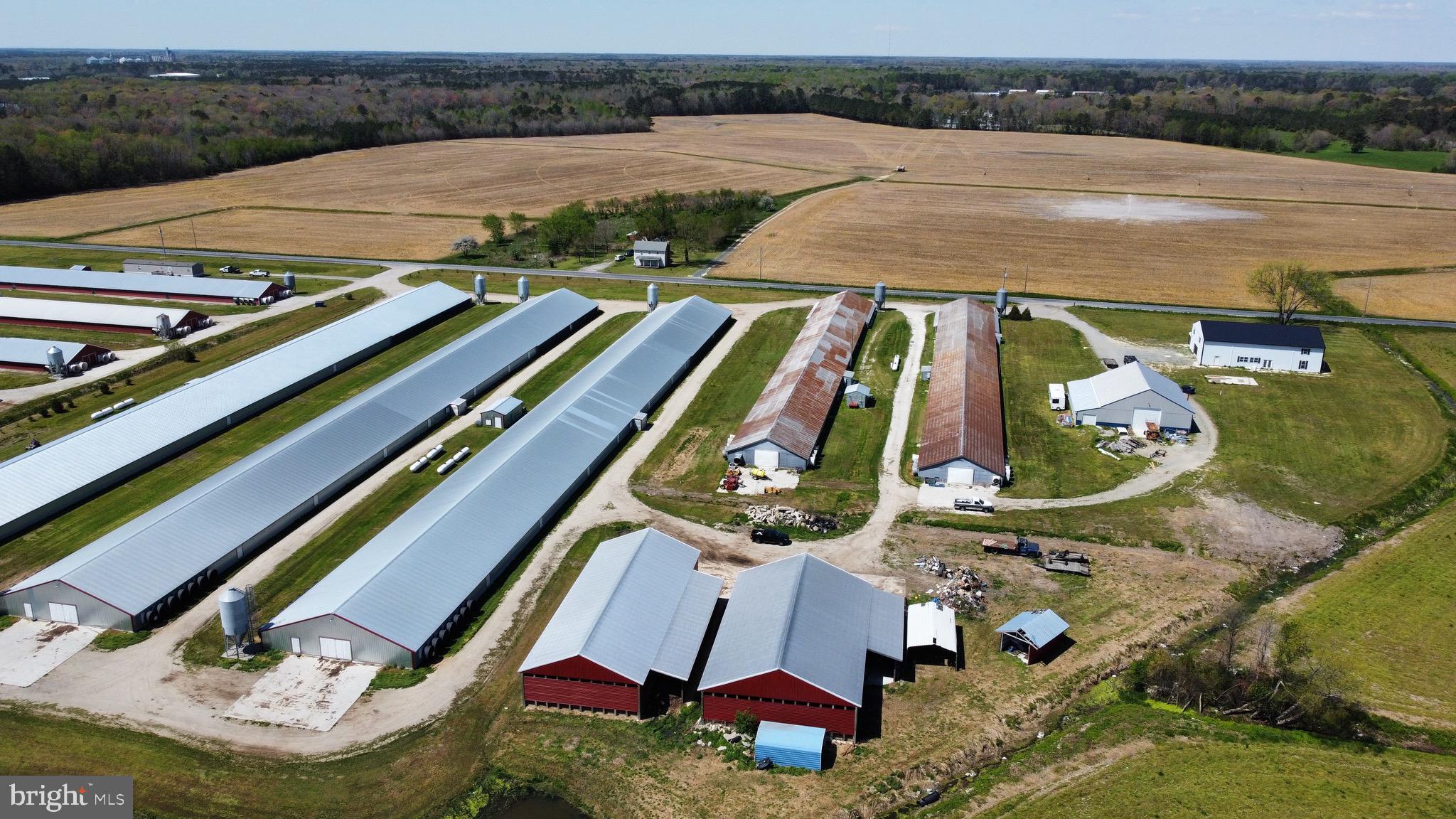 NONE AVAILABLE - Farm