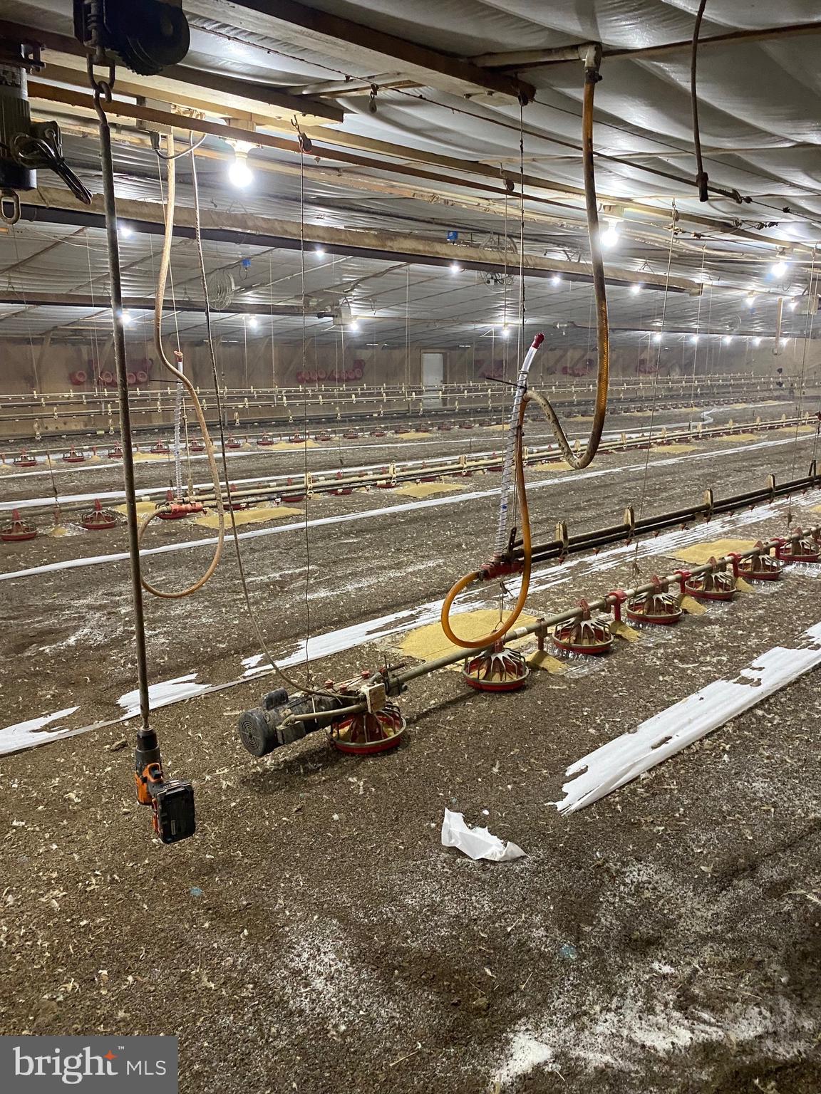 NONE AVAILABLE - Farm