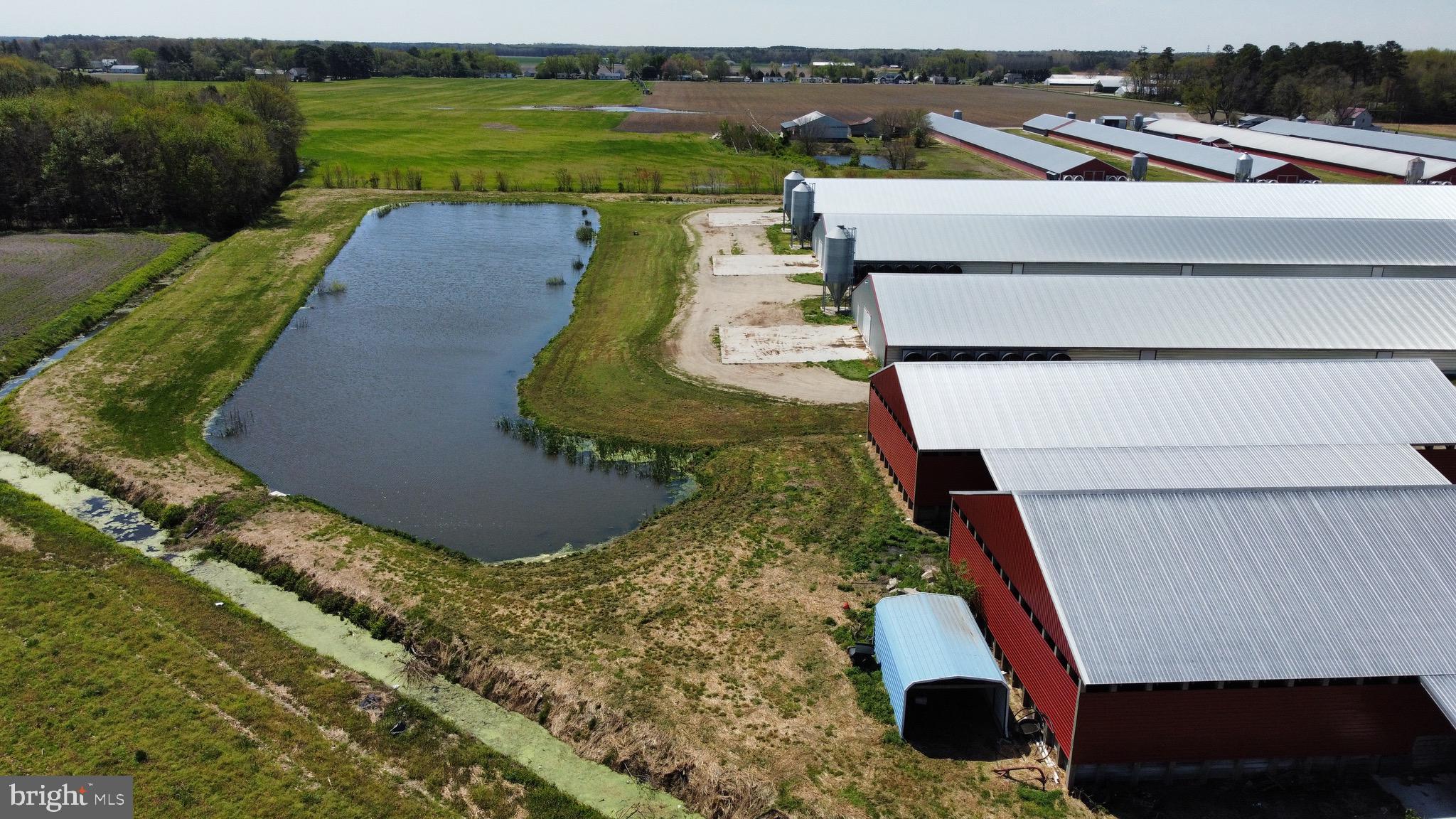 NONE AVAILABLE - Farm