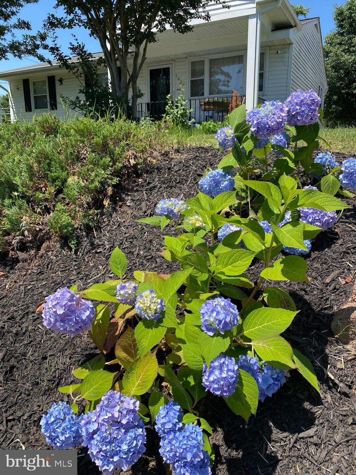 NORTH WELLHAM - Residential