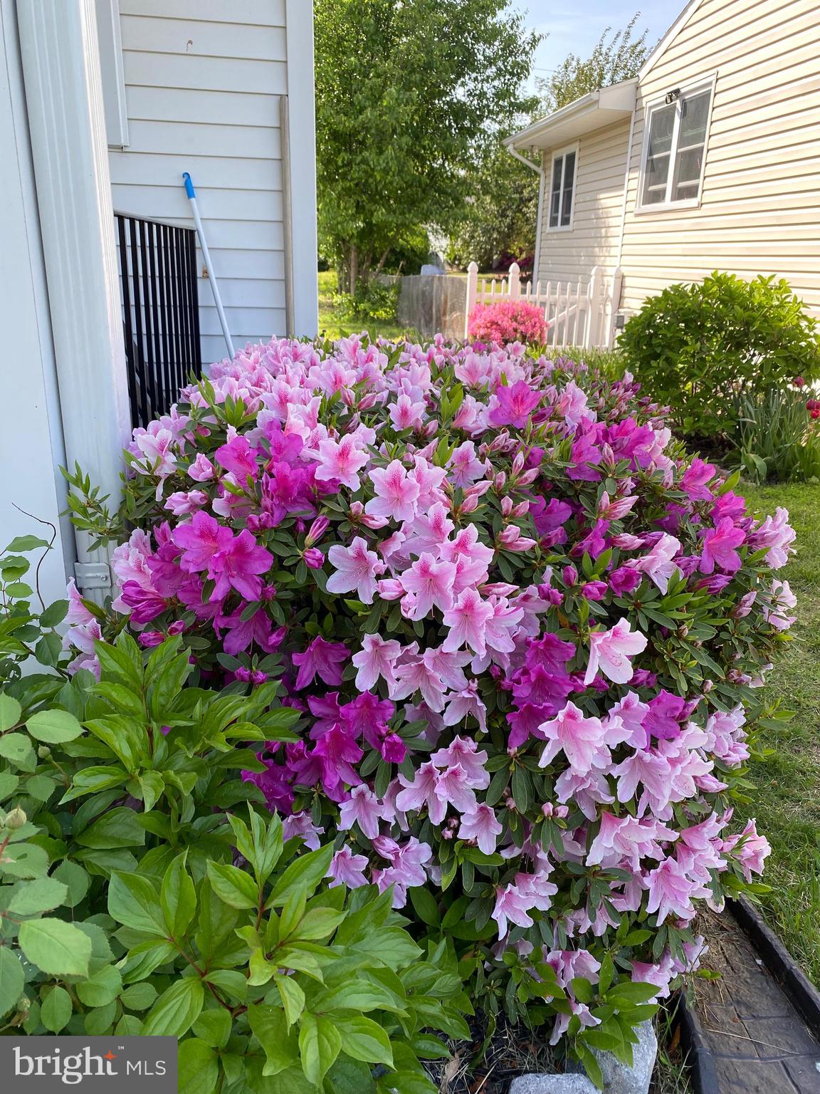 NORTH WELLHAM - Residential