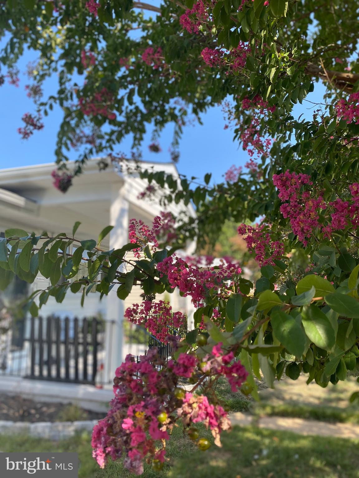 NORTH WELLHAM - Residential