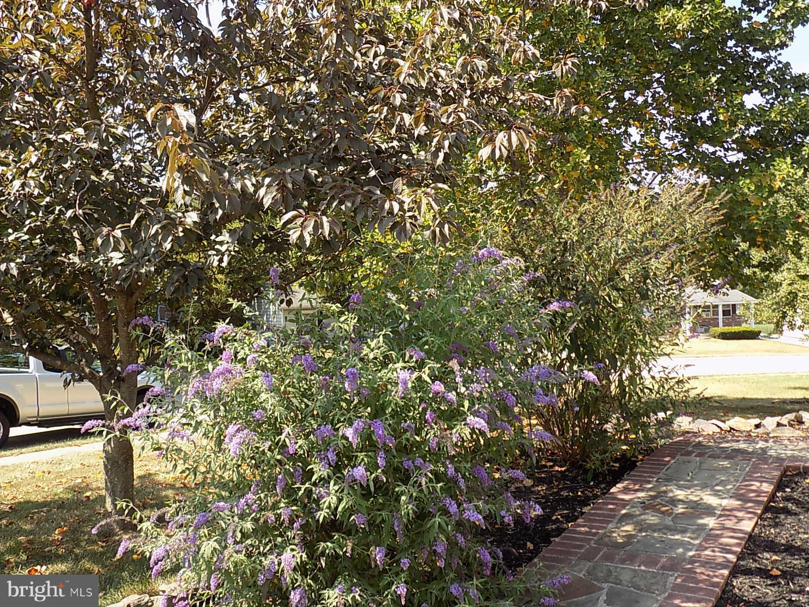 PINEVIEW - Residential