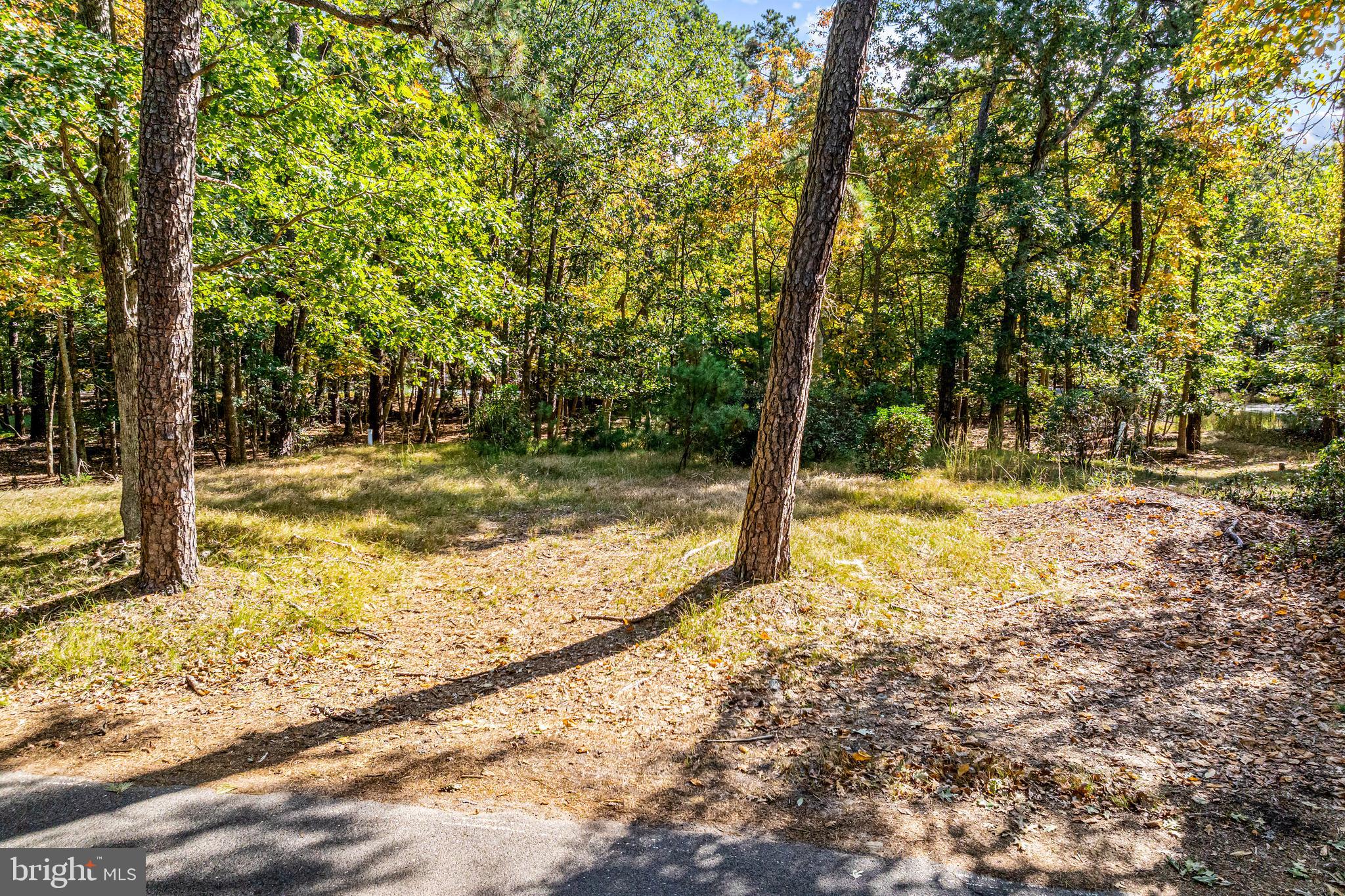100 HINCHMAN ROAD