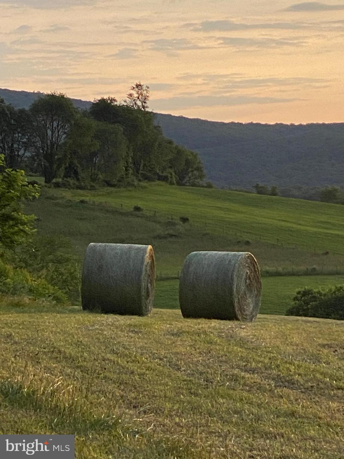 NONE AVAILABLE - Farm