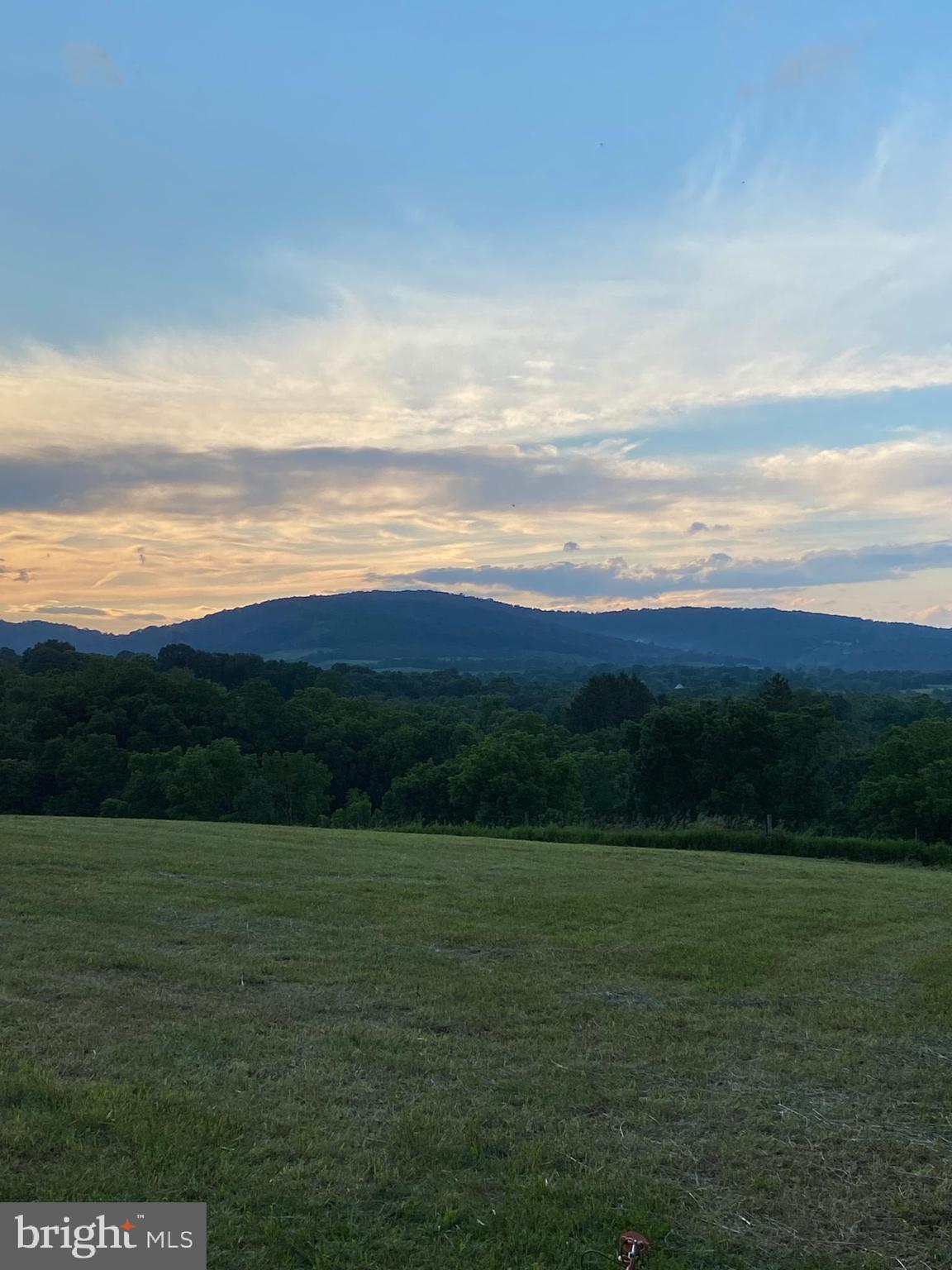 NONE AVAILABLE - Farm