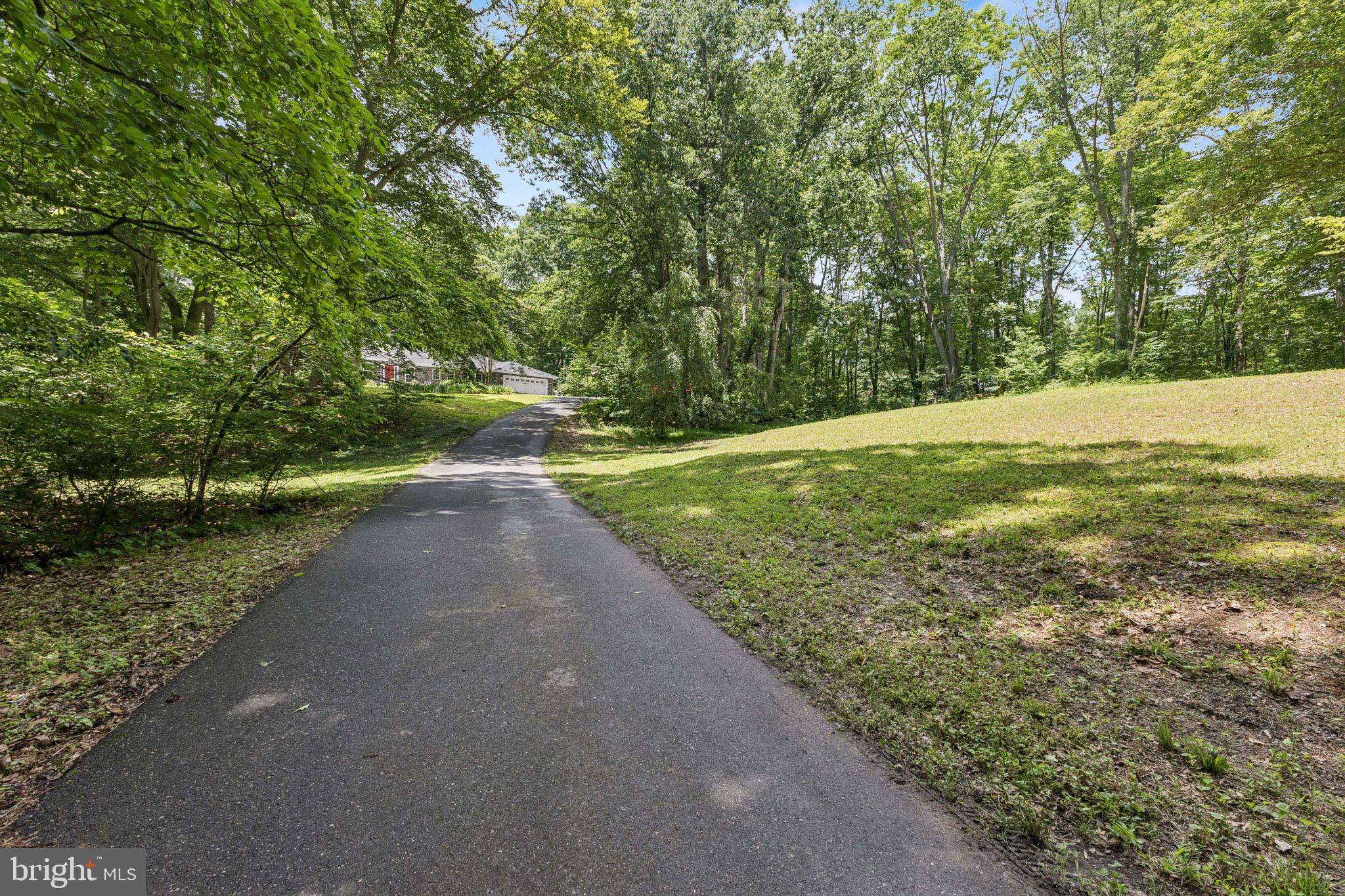 3705 CHANEYVILLE ROAD