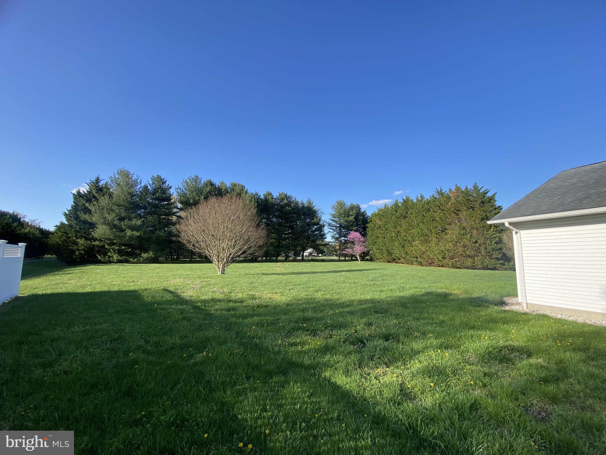 FIKES ORCHARD - Residential