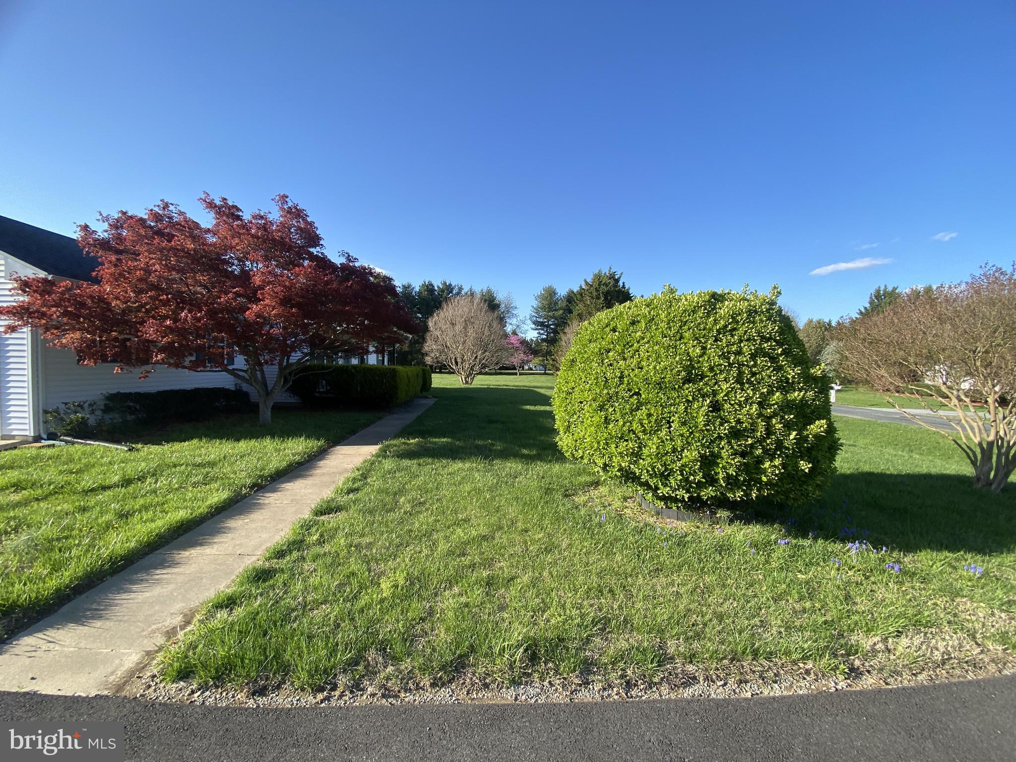 FIKES ORCHARD - Residential