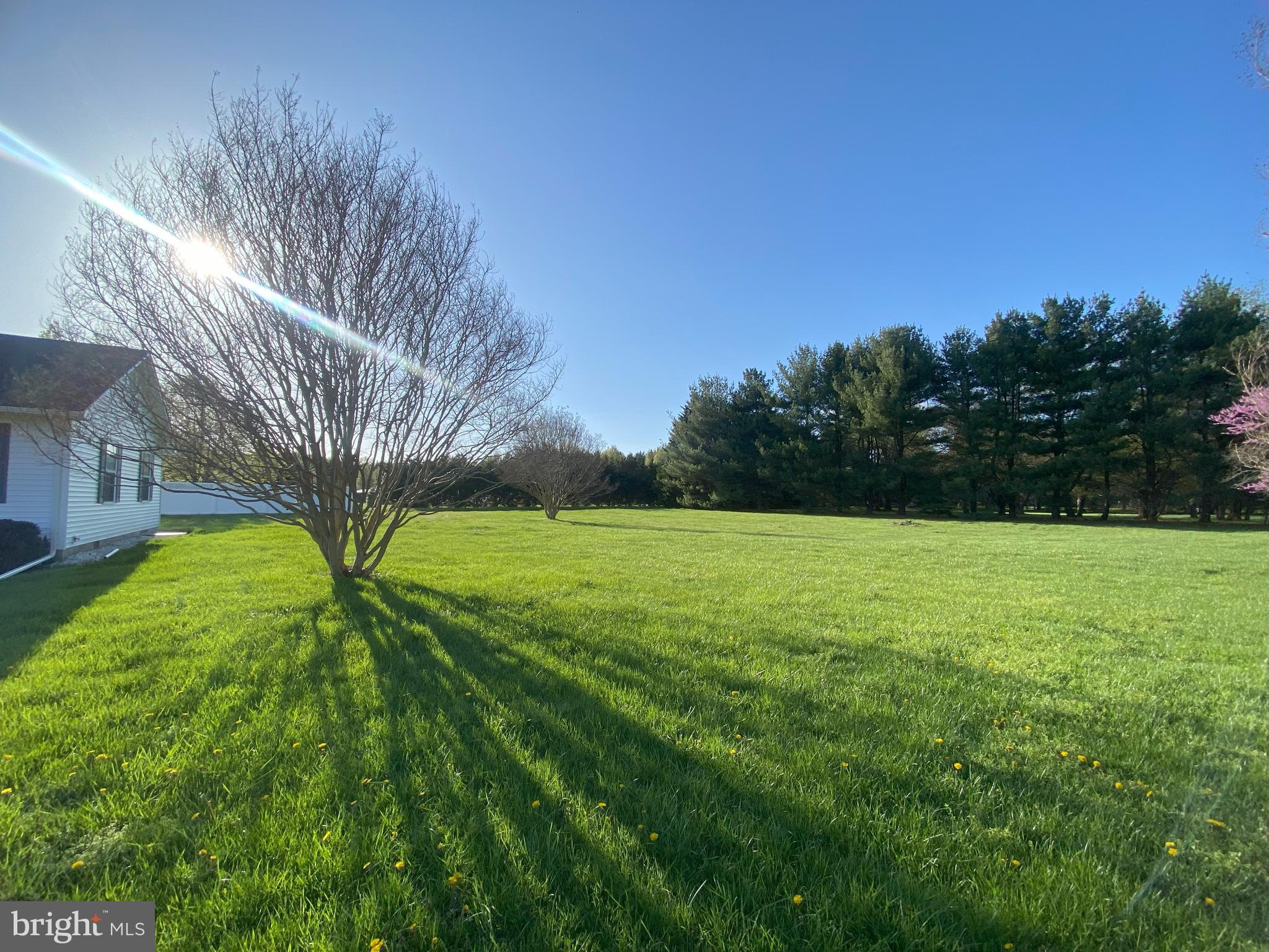 FIKES ORCHARD - Residential