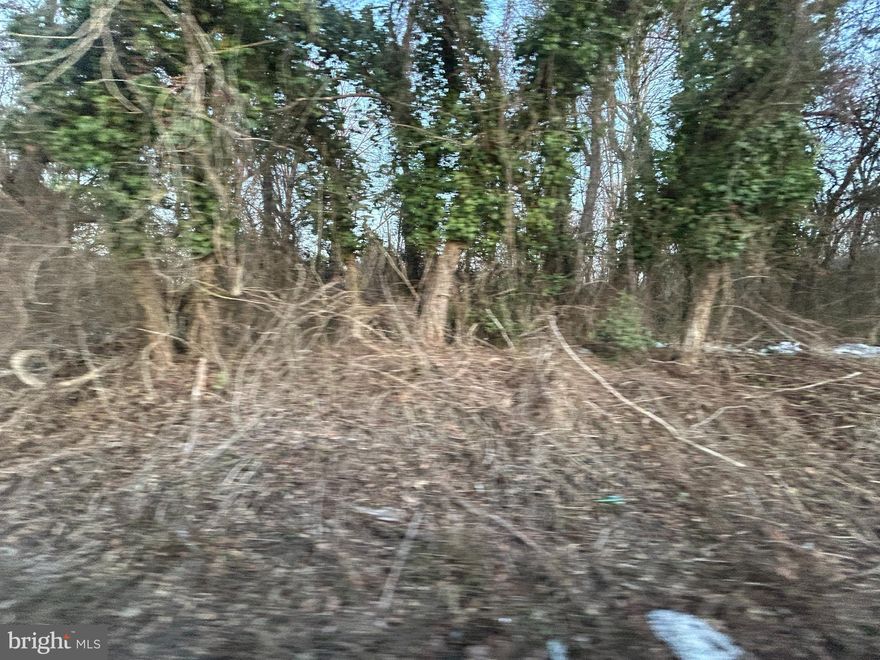 Checking on the hook up for water and sewer.  This is a 1.5 acre lot that is very convenient to 210 Highway and close to the Beltway.  There is a copy of the Boundary Survey on the picture section and documents. 
 Great place to build your home! Checking about the Historic district too.  Will post when I find out more.  Pictures will be coming soon!
Thanks so much for showing!