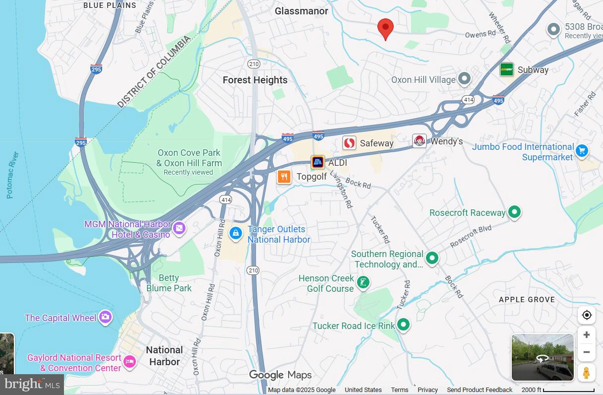 Main image without alt text