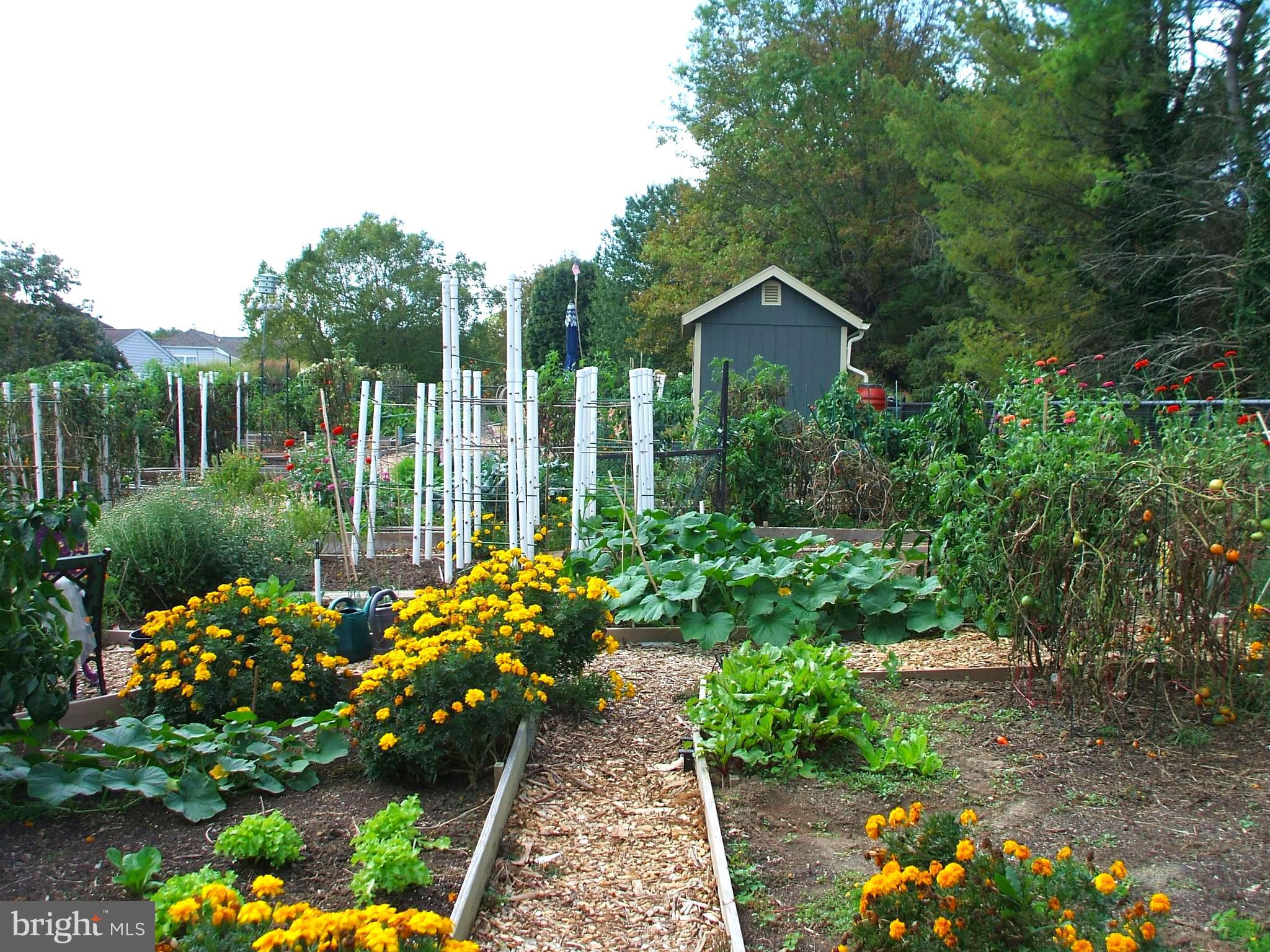 TRADITIONS AT LONG - Residential