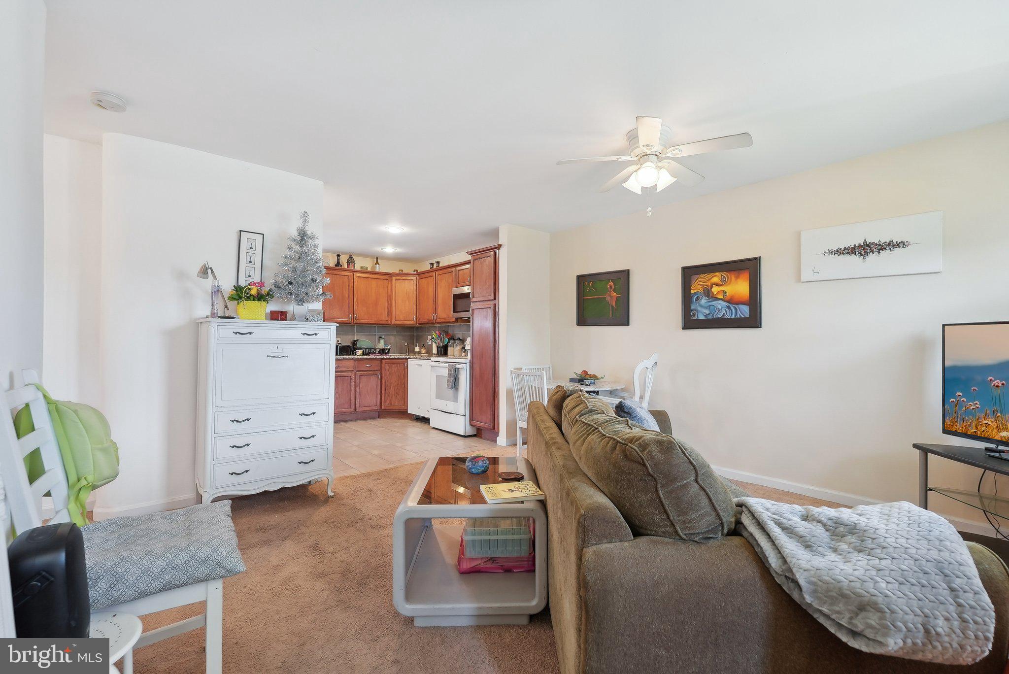 GREEN LANE - Commercial Sale