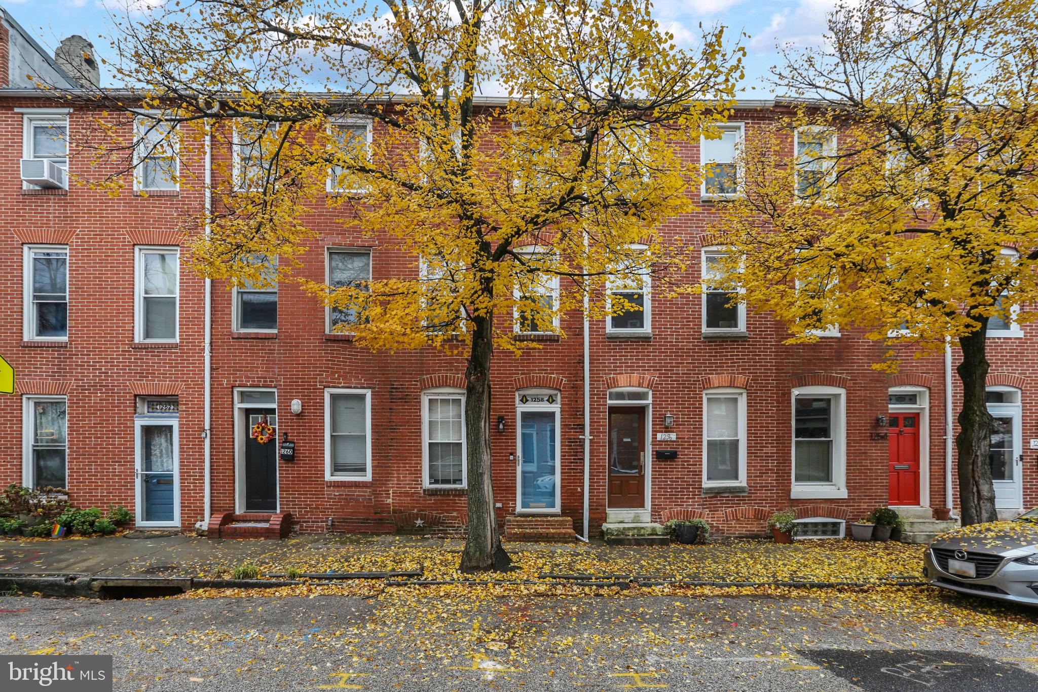 FEDERAL HILL HISTORIC DISTRICT - Residential