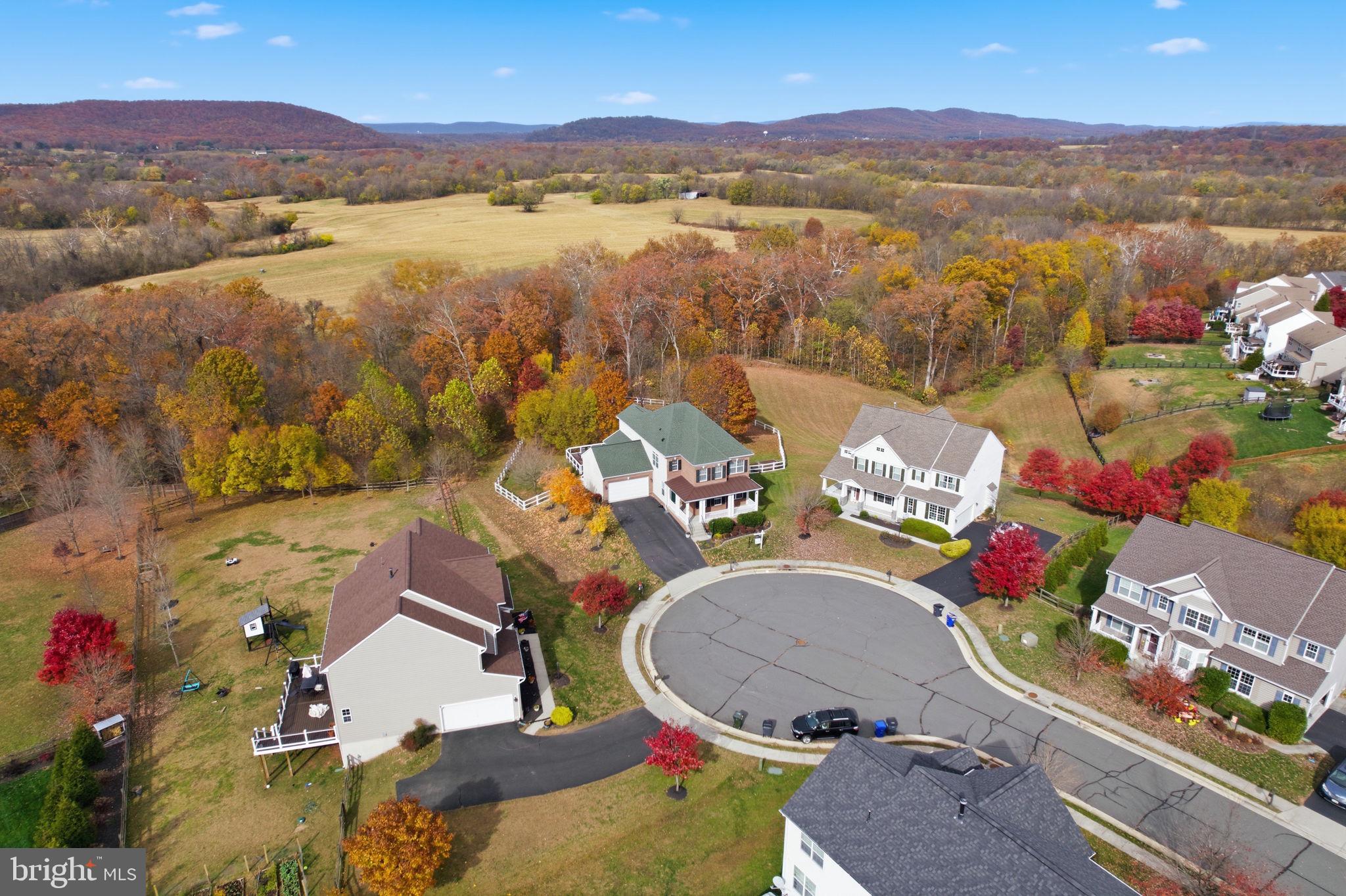 ELYSIAN HEIGHTS - Residential