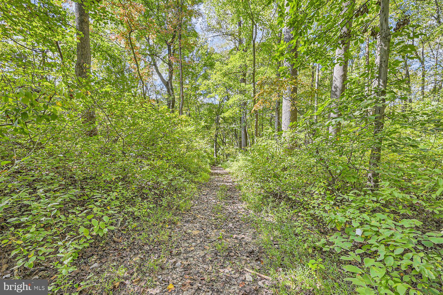 COLESVILLE OUTSIDE - Residential