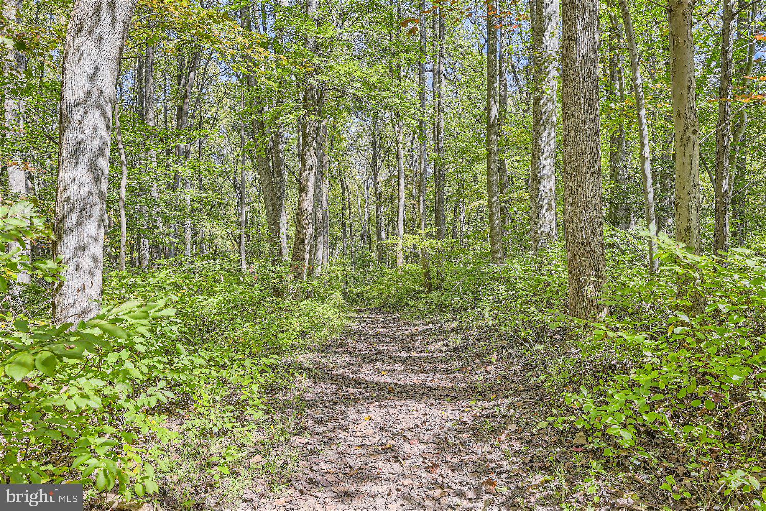 COLESVILLE OUTSIDE - Residential
