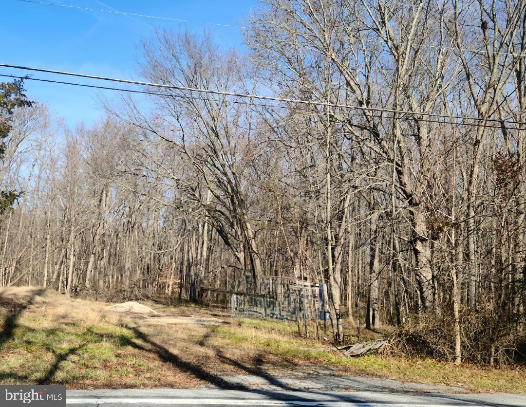 1303 CALDWELL CORNER ROAD