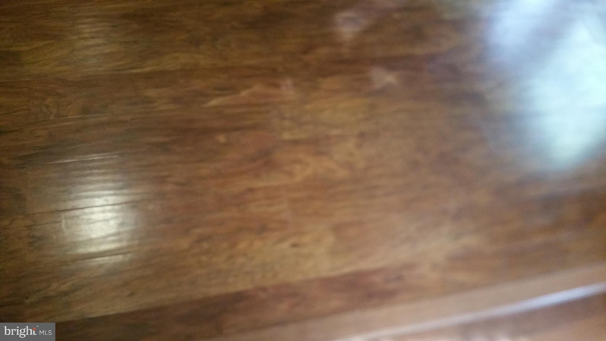 DALE CITY - Residential Lease