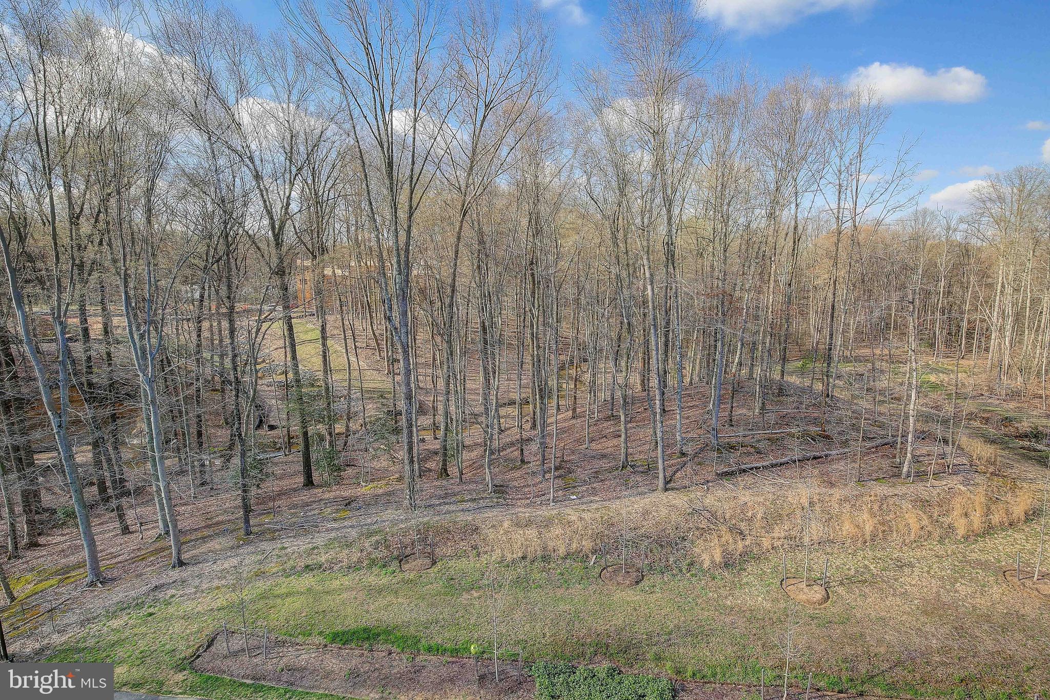 MONARCH AT WAUGH CHAPEL - Residential