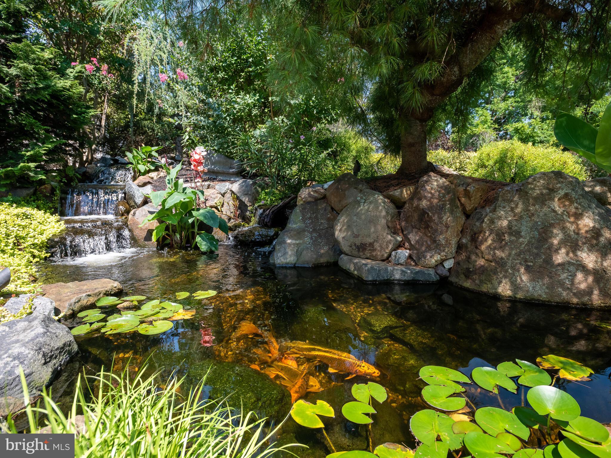 KENTMERE - Residential