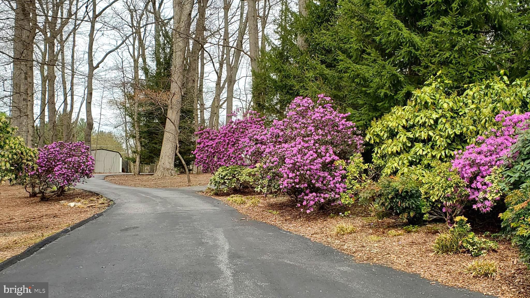 PARKTON - Residential