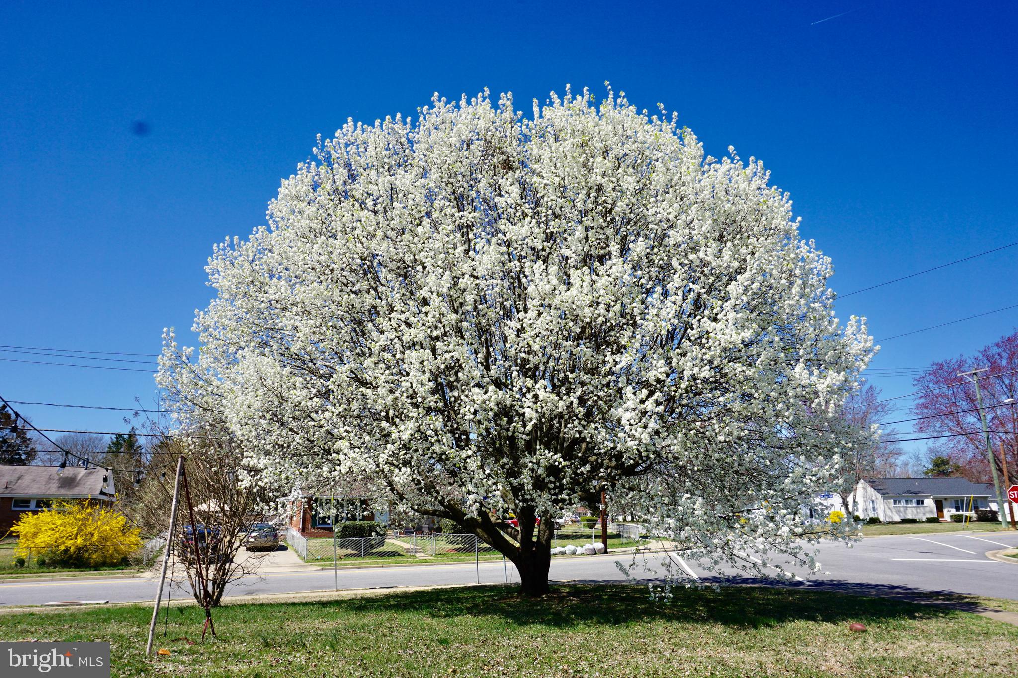 VIRGINIA HILLS - Residential Lease
