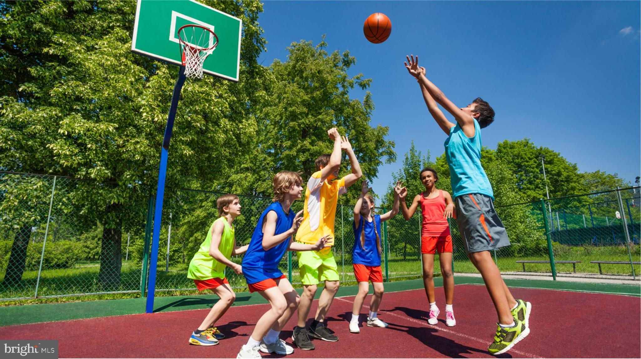 SHENANDOAH SPRINGS - Residential