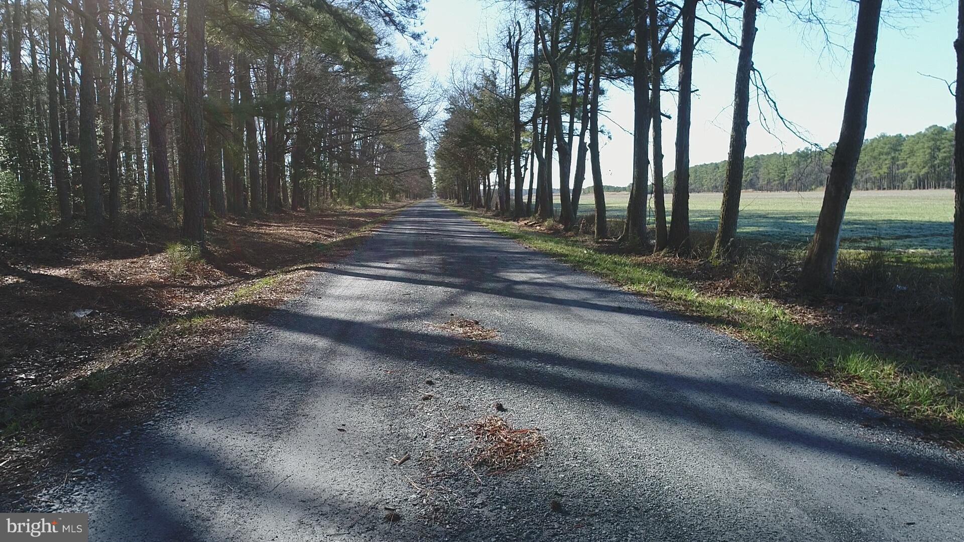 NONE AVAILABLE - Land