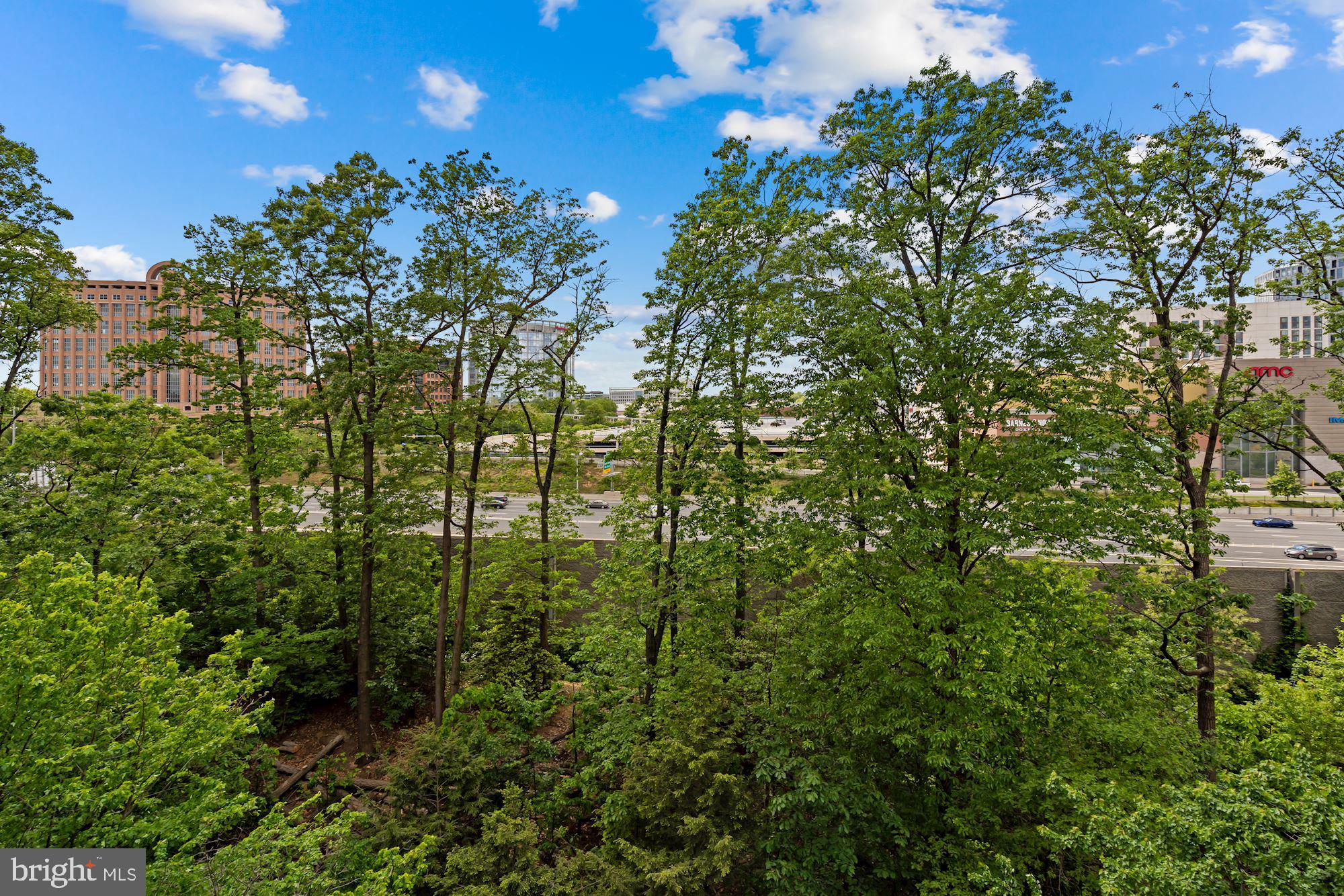 ENCORE OF MCLEAN - Residential