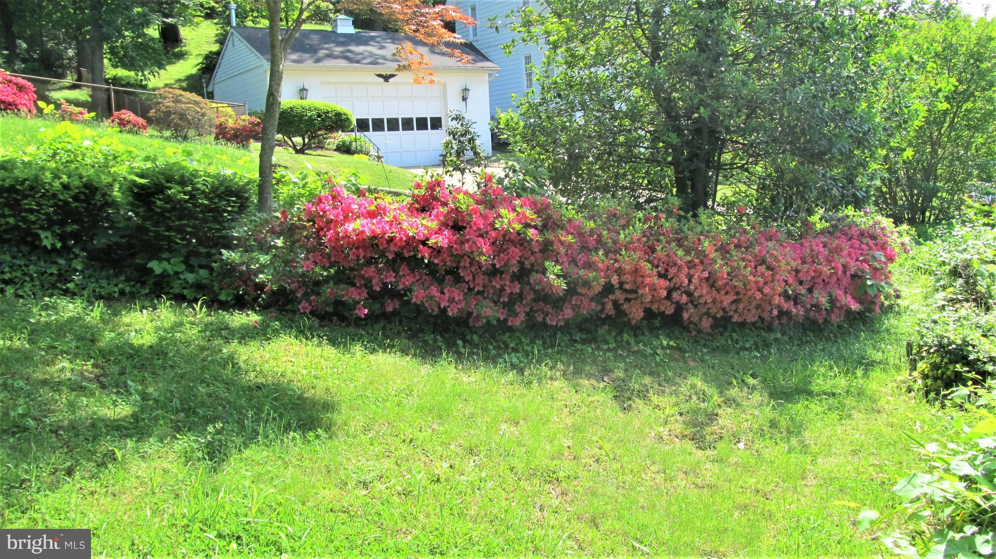 LINTHICUM HEIGHTS - Residential