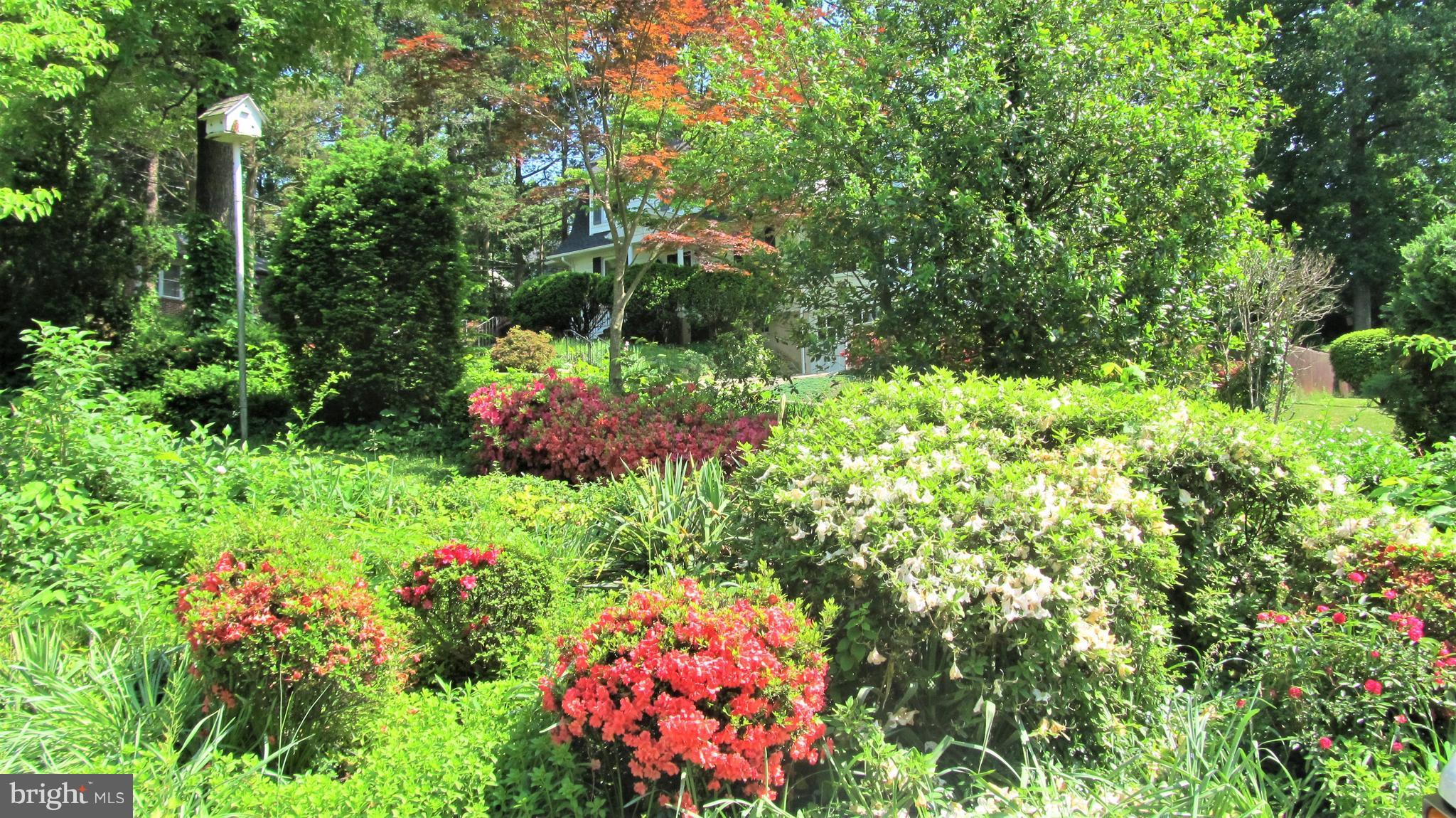 LINTHICUM HEIGHTS - Residential