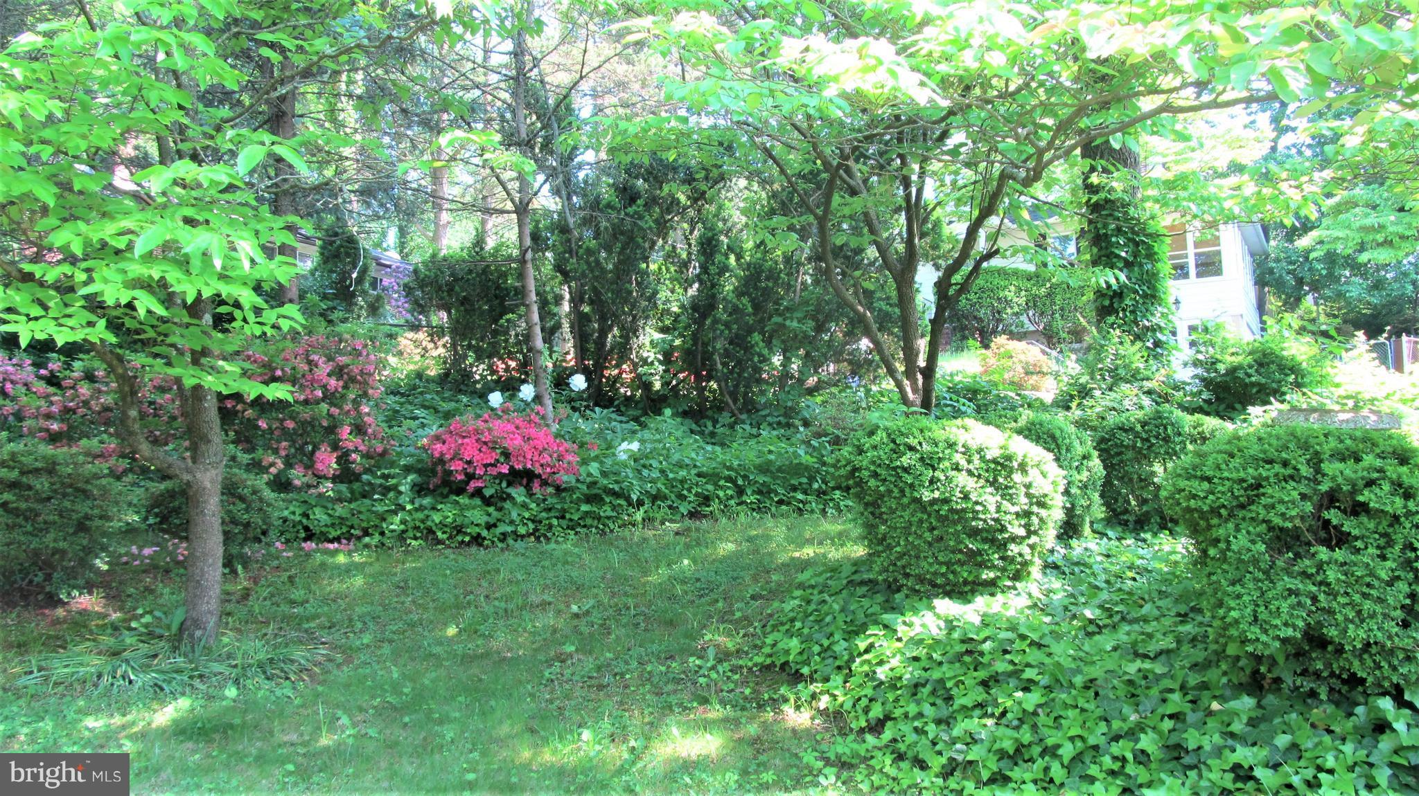 LINTHICUM HEIGHTS - Residential