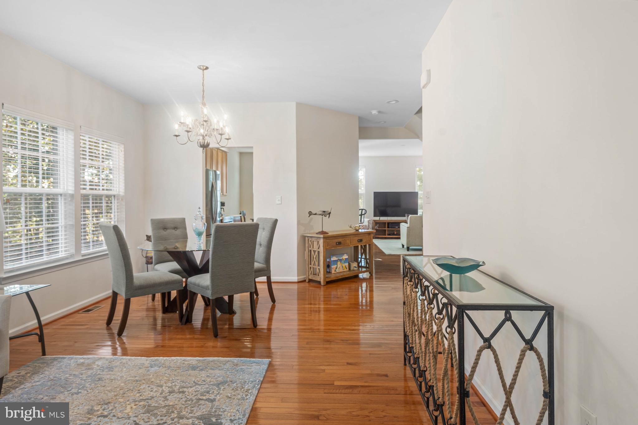 20012 BLUFF POINT DRIVE