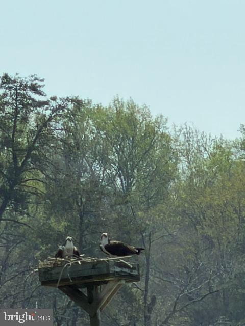 STRATFORD HARBOUR - Land