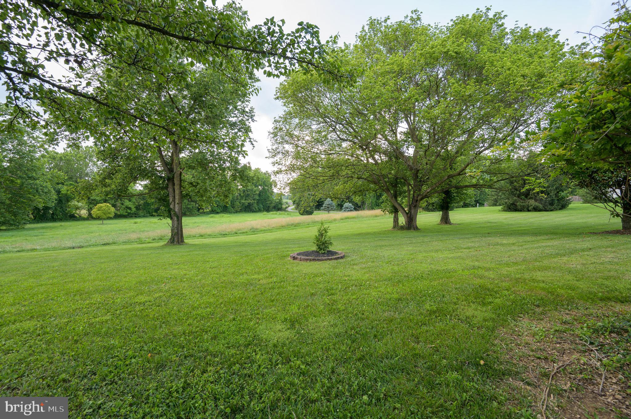 SPRUCE HILL ESTATES - Residential