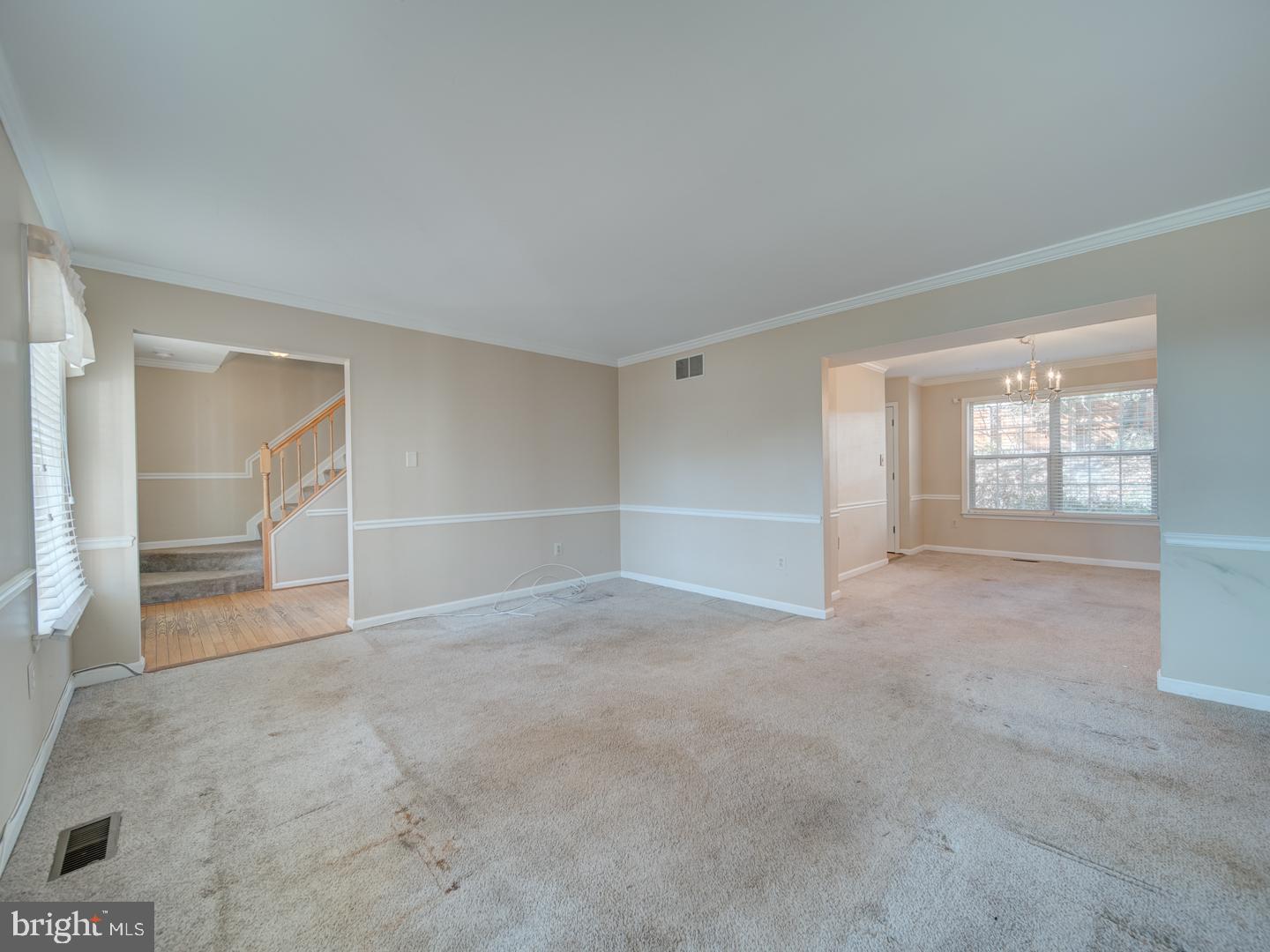 MOUNT AUGUSTINE - Residential