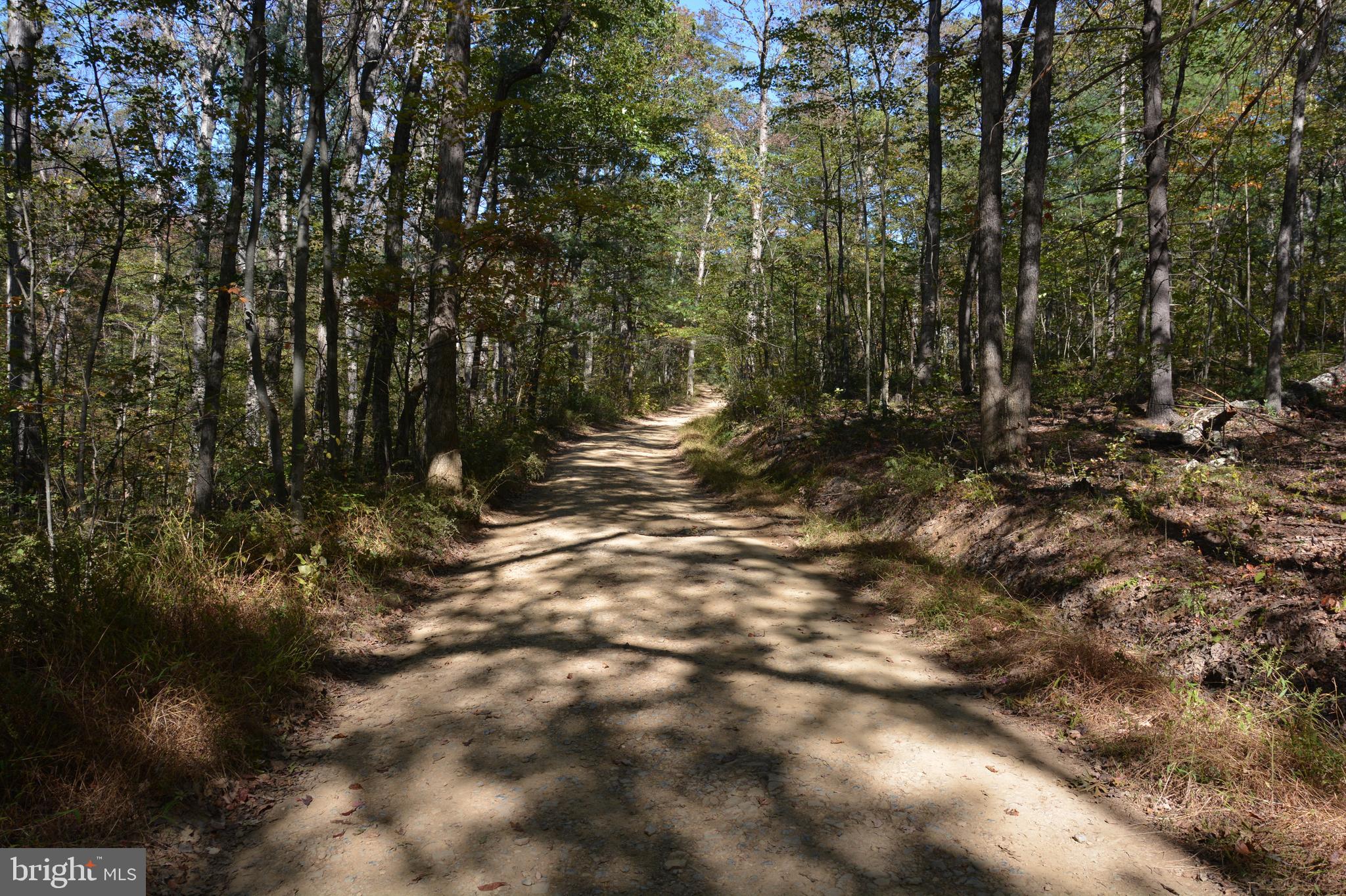 This is 4 contiguous lots of 8+ acres each with a total of 33.01 acres. Seller is selling as a whole, of the 33+ acres. The land is situated at the very back of Lincoln Estates. Property covenants are not enforced. Very quiet and private. There is no HOA. Roads are gravel/dirt, with no road maintenance in effect. Camp, Hike, build your cabin, hunt the land. Full of tall hardwoods. ATV trails and great walking paths. Land is rolling, but many areas of level space to enjoy your activities. Just 15 minutes west of Winchester, and the Medical Center. Price reflects Assessed value, Frederick County.