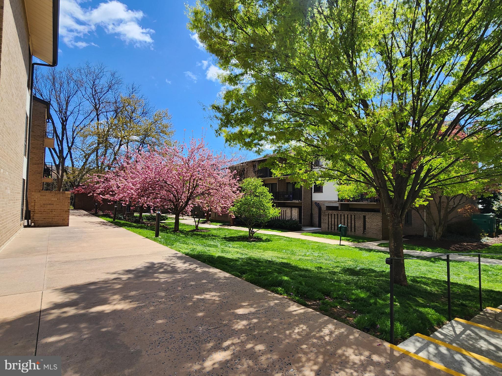 AMERICANA CENTRE - Residential