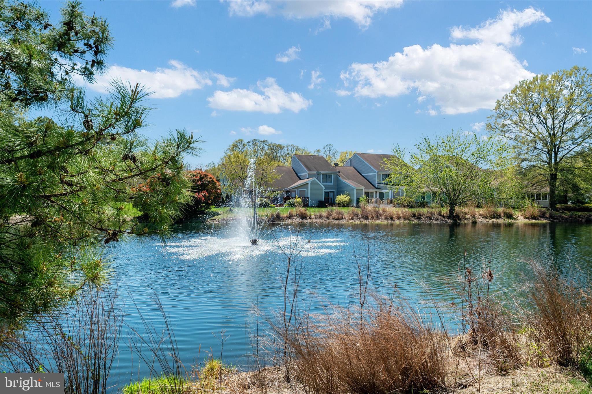 BRIDGEPOINTE - Residential