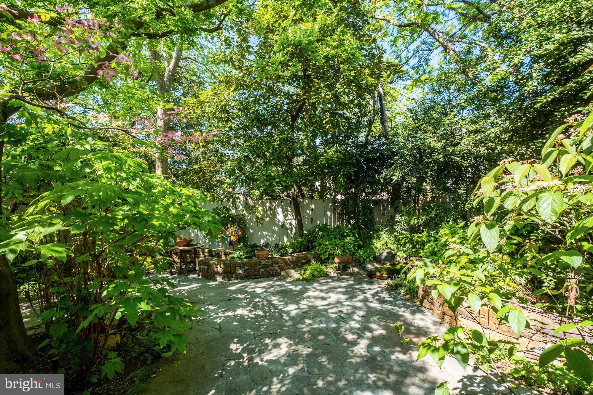 CAPITOL HILL - Residential