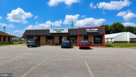 Photo of 319 Crusader Road, CAMBRIDGE, MD 21613 (MLS # MDDO2012210)