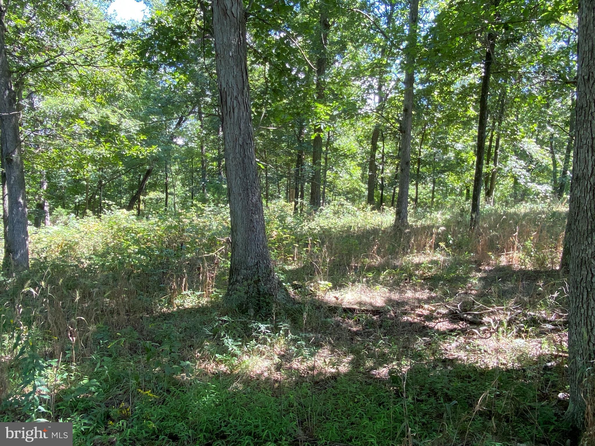 HICKORY KNOLL - Land