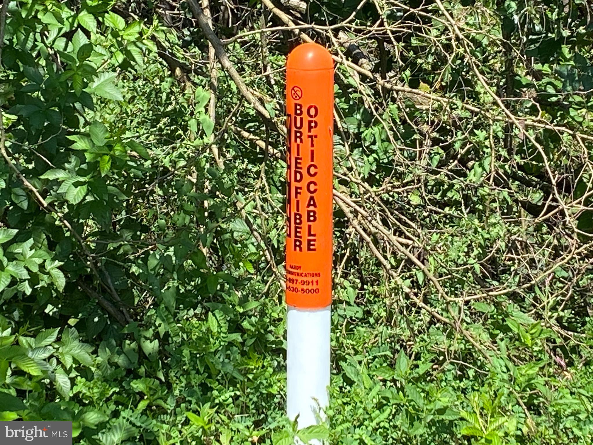 HICKORY KNOLL - Land