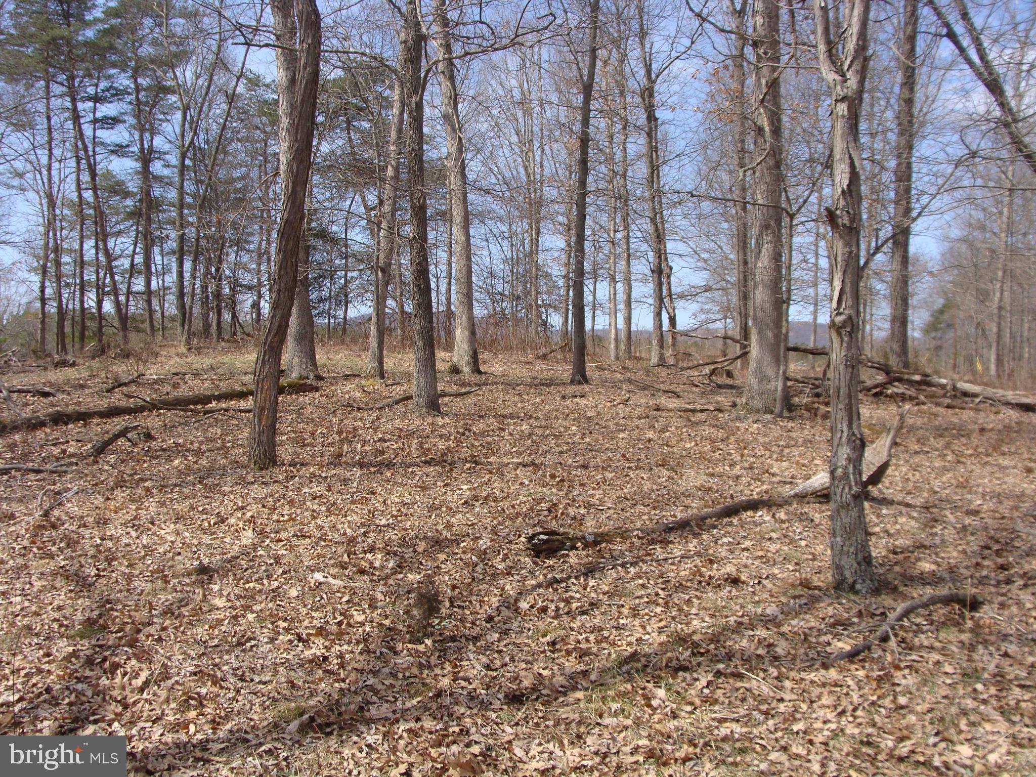 HICKORY KNOLL - Land